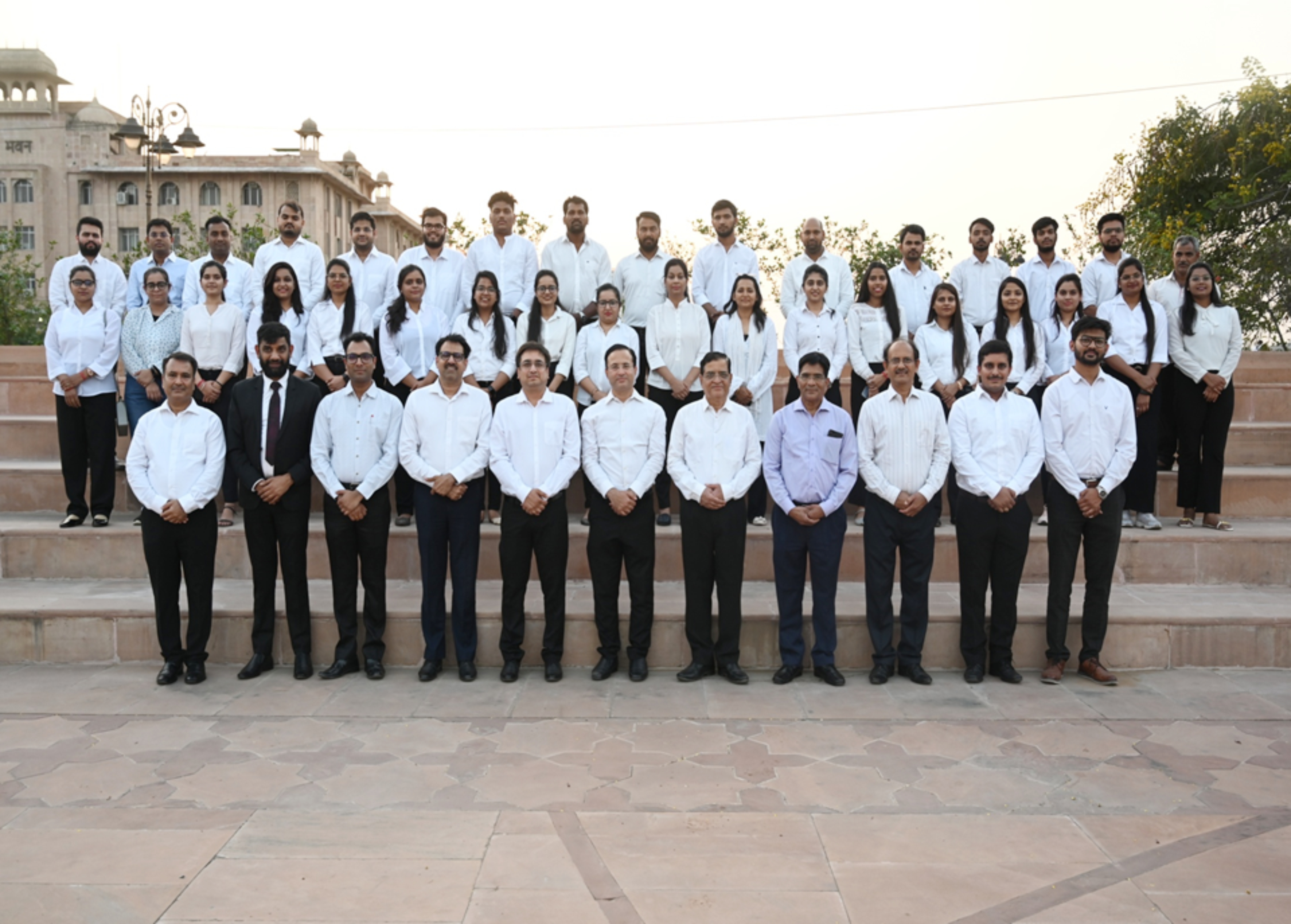 Arms & Associates Team